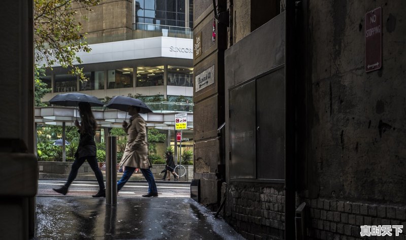 1、推荐几部日韩欧美晚上惊悚刺激电影_意大利顶级绝伦推理片电影推荐 - 真时天下