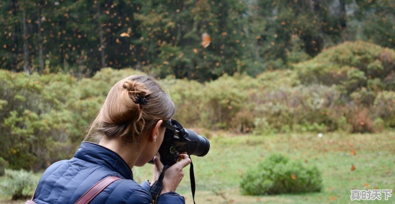 1、铃芽之旅各国上映时间_电影智齿什么时候上映 - 真时天下