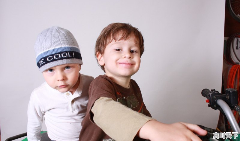 1、五个字的搞笑电影,最新电影搞笑电影大全 - 真时天下