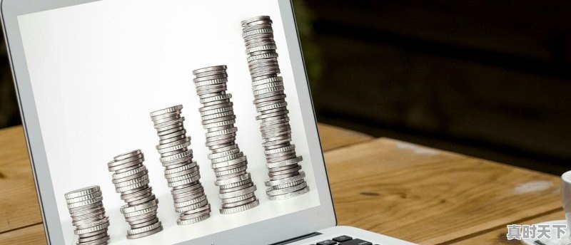 1、卖炒股软件能赚钱吗,机构投资股票怎么赚钱 - 真时天下