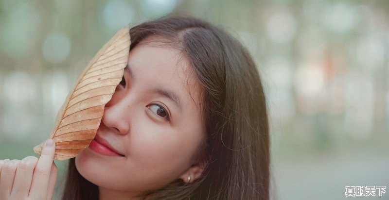 1、蚩梦老妈救场是第几季哪一集_菲梦少女第二季雪艳救场是第几集 - 真时天下