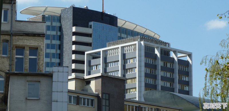 1、2022年最火的搞笑电影排名前10,电影2022最新电影喜剧 - 真时天下