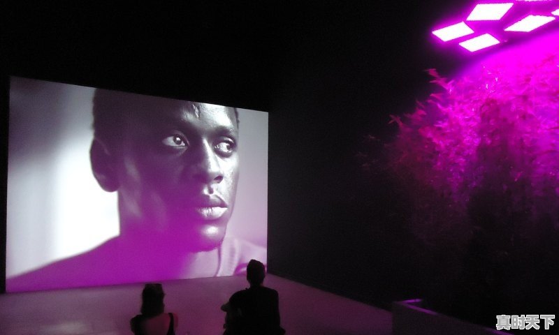 1、电影电视奖项有哪些，戛纳电影节金像奖奖项有哪些 - 真时天下