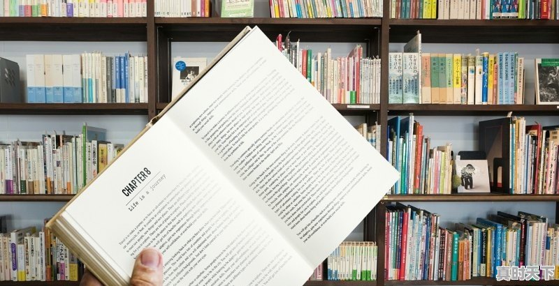 1、加强新时代师德师风建设要弘扬什么培育科技创新文化_坚持创新发展理念应采取哪些措施 - 真时天下