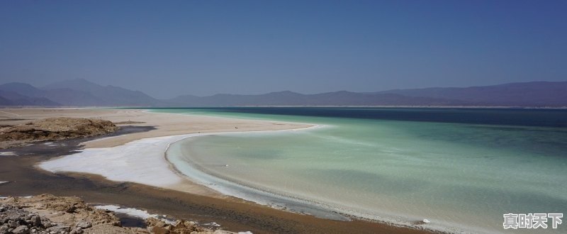 1、求详细的哈尔滨到伊春自驾游攻略_阿龙山采松塔个人可以采吗 - 真时天下