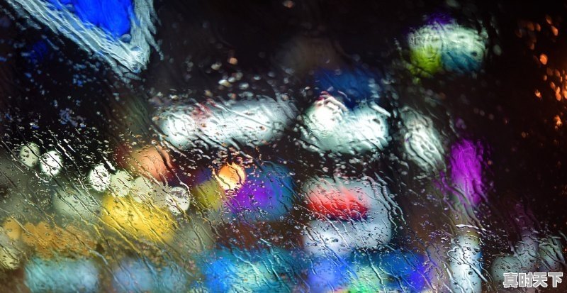 1、电影之夜周深有获奖吗_92届奥斯卡最佳影片名单 - 真时天下