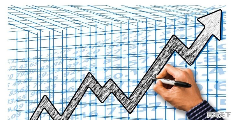 1、63届威尼斯电影节是哪年的_张艺谋是哪国国籍 - 真时天下