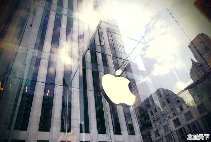 1、国内三大电影奖哪个重要,华语三大电影节含金量高吗 - 真时天下