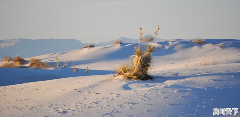 1、2022年1月哪些电视剧上映，2022中国最新电影电视剧推荐 - 真时天下