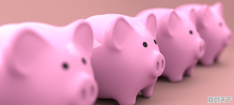 1、长春2023电影节开幕哪个频道播放_2023长春电影节什么时候举行 - 真时天下