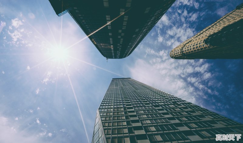 1、长亮科技是干什么的,科技助力金融发展金融赋能科技创新 - 真时天下