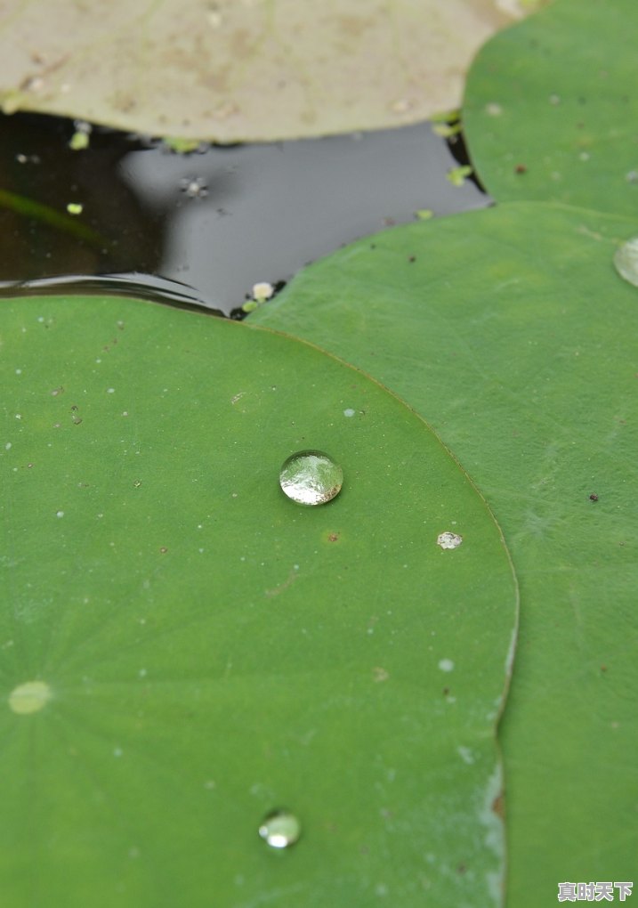 1、如何实现绿色创新_创新绿色共享五个方面含义 - 真时天下