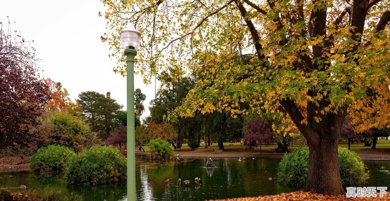 1、长沙上次下雨什么时候_鼎城区 天气 - 真时天下