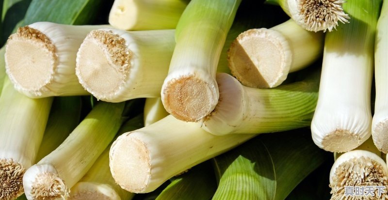1、为什么兰陵蒜薹那么贵_今年蒜苔什么时候成熟 - 真时天下
