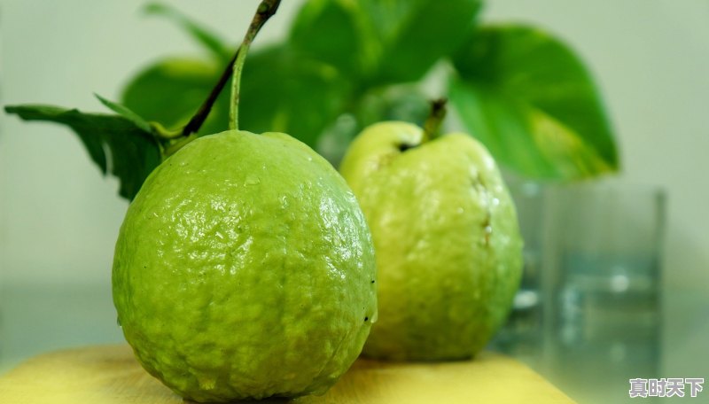 1、潘粤明南海归墟什么时候上映,最新电影盗墓潘粤明南海归墟演员表 - 真时天下