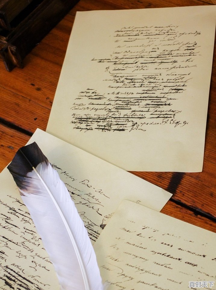 1、观后感提纲怎么写，电影节采访提纲 - 真时天下