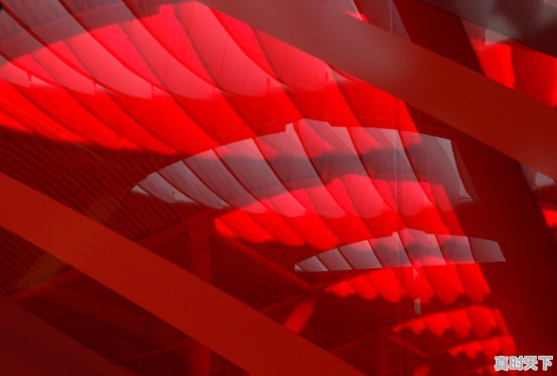 1、金鸡奖2021获得者,28届红地毯电影节获奖名单 - 真时天下