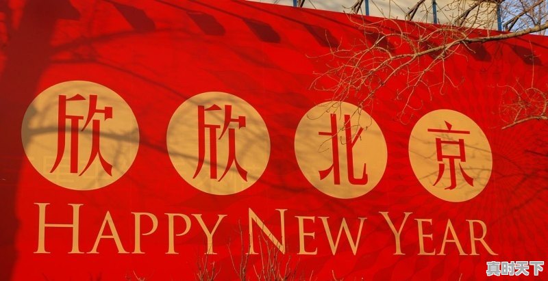 1、十三届北京电影节闭幕式什么时候,28届红地毯电影节在哪举办 - 真时天下