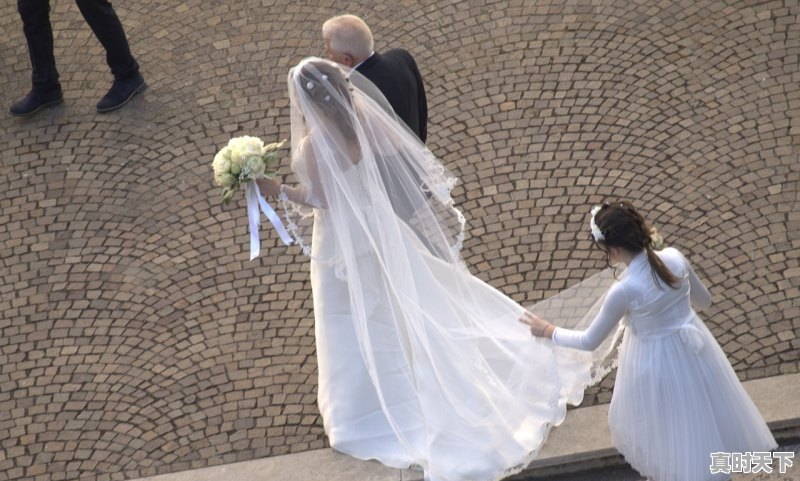 1、张雨绮为什么参加戛纳电影节,戛纳电影节红地毯张雨绮获奖了吗 - 真时天下