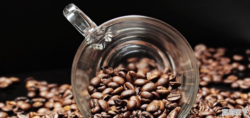 1、豆粕成本价怎么计算,豆粕今日价格行情 - 真时天下