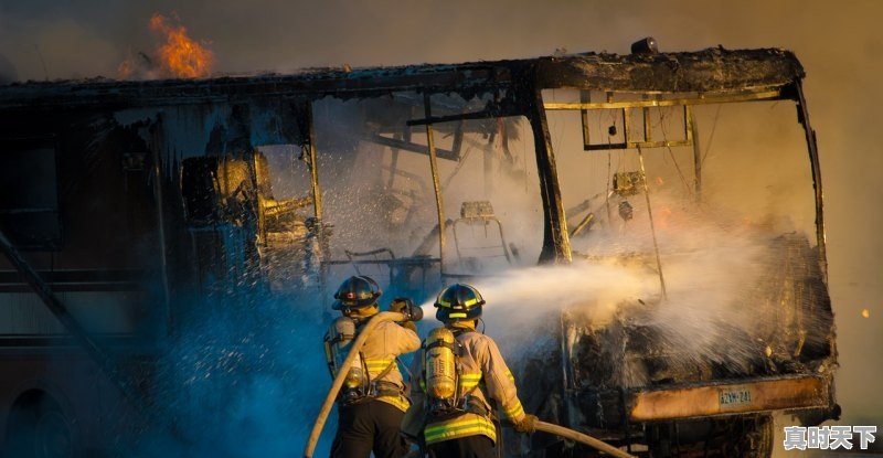 1、电影优惠券哪里有,电影节门票怎么领优惠券啊 - 真时天下