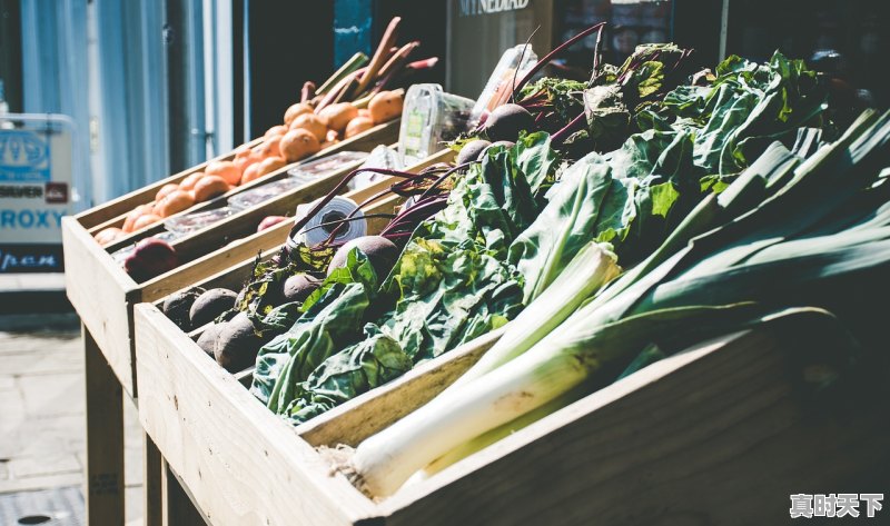 1、山东蔬菜大县排名_济南人气最旺的菜市场 - 真时天下