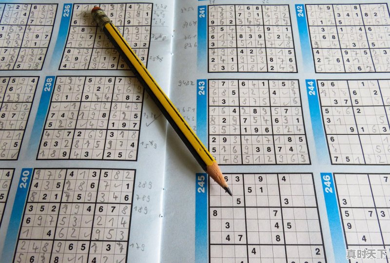 1、马拉松赛事标牌等级划分,太原今日白金价格 - 真时天下