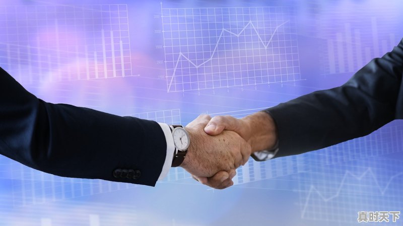 1、支付宝买股票开不了户怎么办,支付宝股票开户要钱吗? - 真时天下