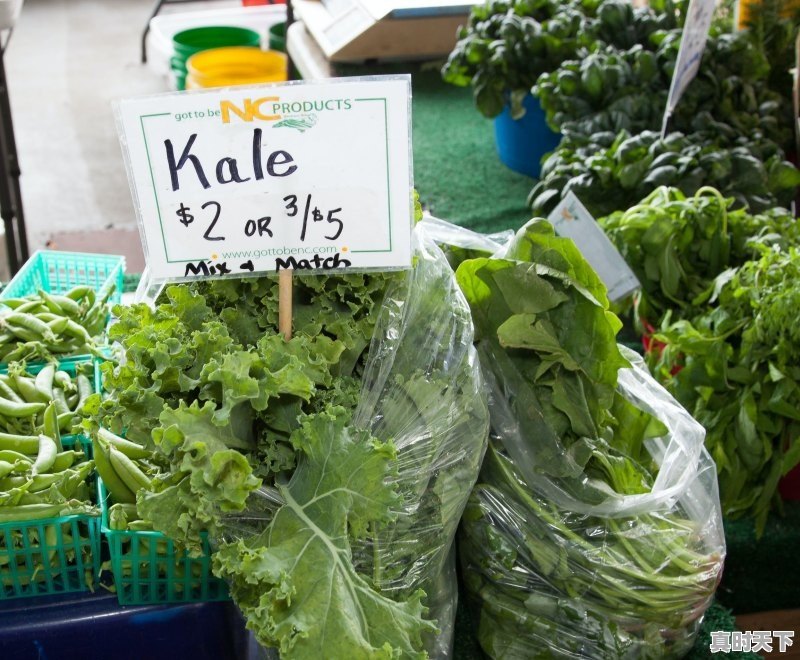 1、怎样看一支股票资金的流入与流出,股票大盘资金怎么看流入流出 - 真时天下