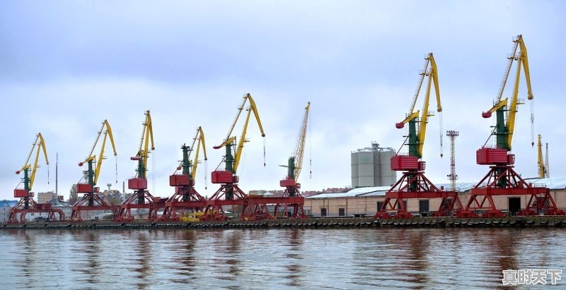 1、预计2022辣椒价格,今日港椒价格 - 真时天下