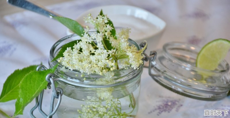 1、2021芋头有涨价的可能吗_现在的芋头是当季的吗 - 真时天下