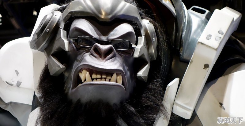 1、热门游戏玩家排行榜前十名有哪些人物,热门游戏玩家排行榜前十名有哪些人物 - 真时天下