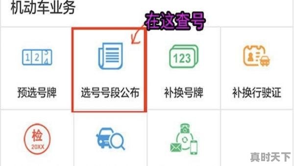 4、直播卖车顺口溜_谁知道二手车销售技巧 - 真时天下