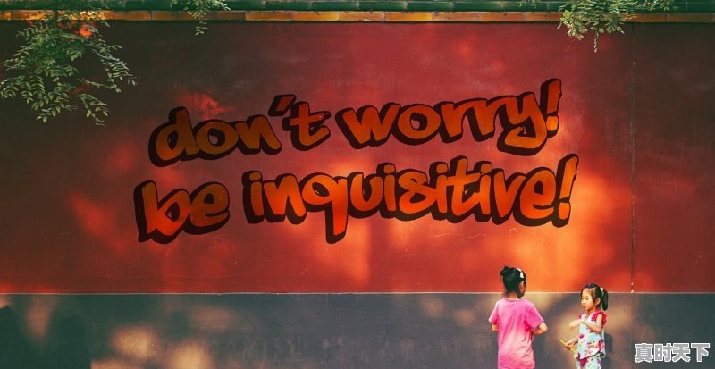 1、2022印度高分电影排行榜前十名_电影印度咆哮兄弟结局 - 真时天下