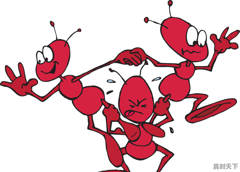 1、2022年最火的搞笑电影排名前10_2021年10月份上映的搞笑电影 - 真时天下