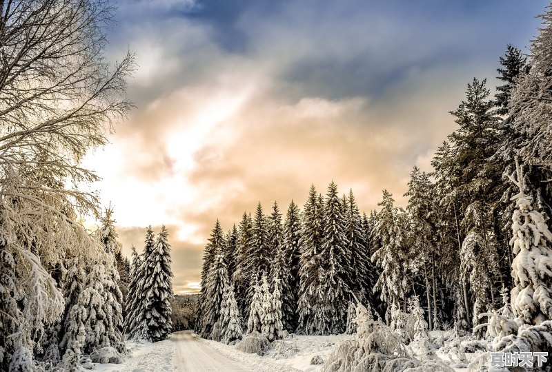 1、阜新的天气预报_阜新雪大吗 - 真时天下