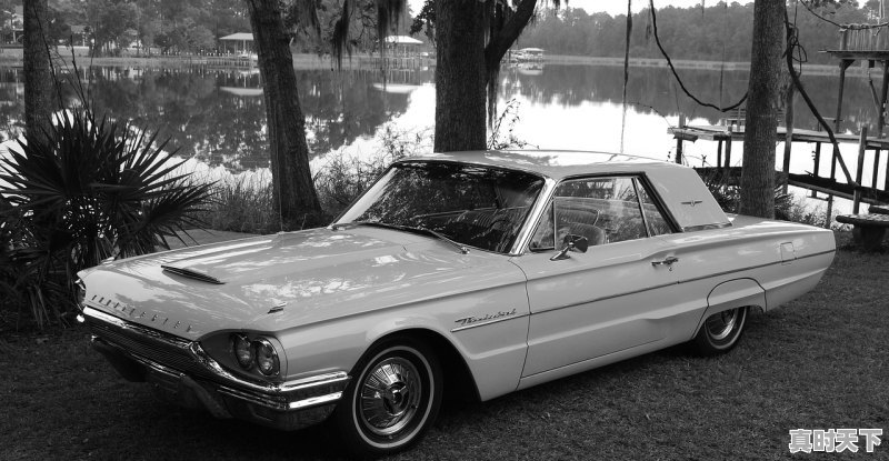 1、大连车辆过户办理地址,大连哪里买二手车靠谱 - 真时天下