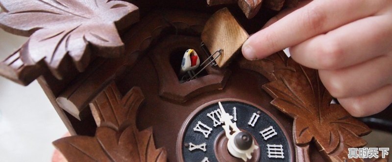 1、12-18岁必看十部国产电影,国产经典动漫推荐排名前十有哪些电影名字 - 真时天下