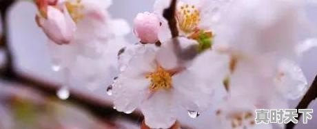 1、废柴女主穿越逆袭动漫,废柴逆袭修仙动漫推荐女主 - 真时天下