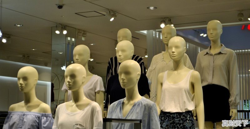 1、北京电影节直播哪里可以看，北京电影节红毯在哪个频道播出过 - 真时天下