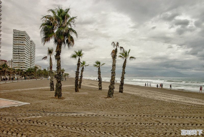 1、关于加快农业科技创新的实施意见,科技创新发展实施办法 - 真时天下