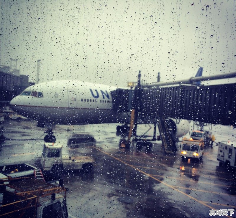 1、佰利信息咨询公司怎么样,湖塘二手车交易货车 - 真时天下