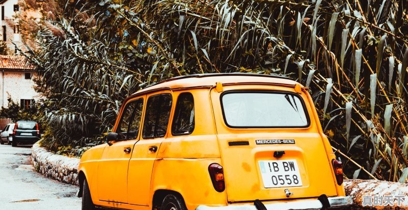 1、18届釜山国际电影节排行_亚太电影大奖厉害吗 - 真时天下