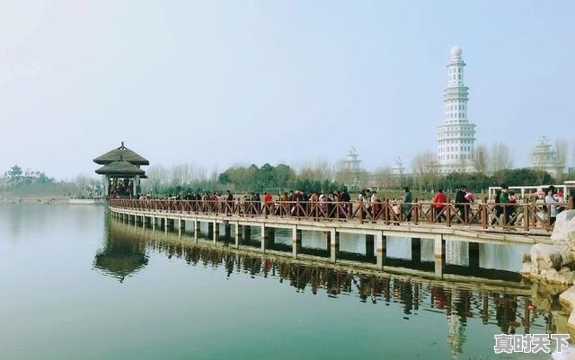 3、2021年11月仔猪价还会涨吗_项城丸子汤的做法 - 真时天下