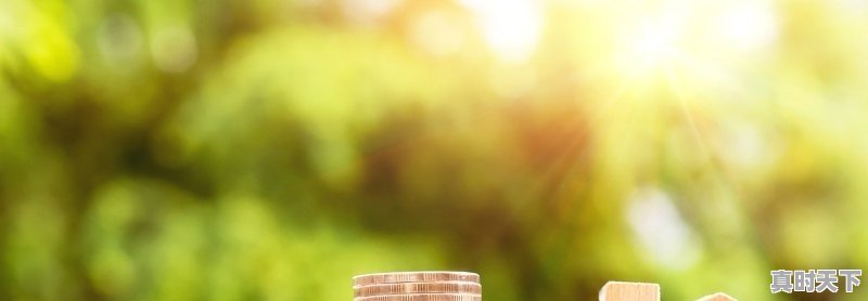 1、马苏金像奖得的什么奖_风声获奖记录 - 真时天下