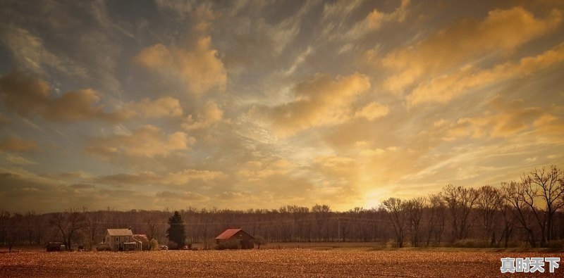 1、柳林县天气,柳林县天气 - 真时天下