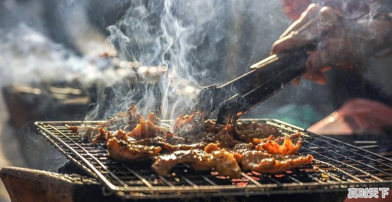 1、为什么山东临沂的猪肉那么便宜瘦肉1万元能买一吨,山东今日白羽肉鸡价格 - 真时天下