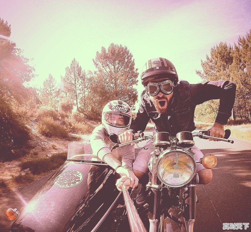 1、2023年上映的国产电影_2023年新上映的国产战斗电影 - 真时天下