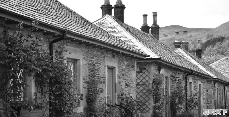 1、2012年12月上映的电影清单,最新电影排行榜2012已上映的有哪些呢 - 真时天下