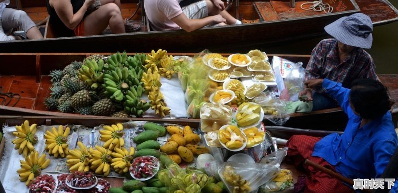 1、襄阳8月份适合种什么蔬菜,襄阳今日蔬菜价格 - 真时天下